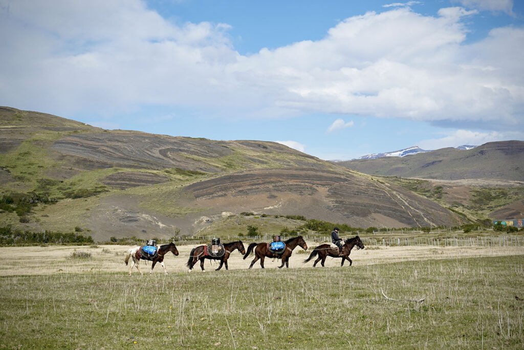 Cabalgata, Patagonia Chilena - Galería de fotos - Patagonia Blueprint